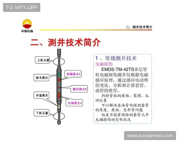 V5在精英赛中的技术表现分析与点评展现团队实力与发展潜力